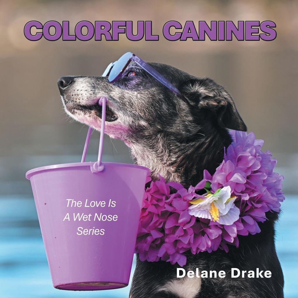 Colorful Canines