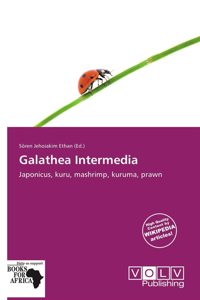 Galathea Intermedia
