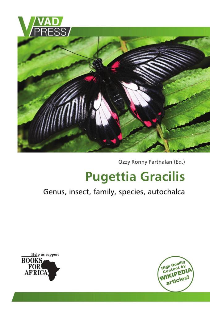 Pugettia Gracilis