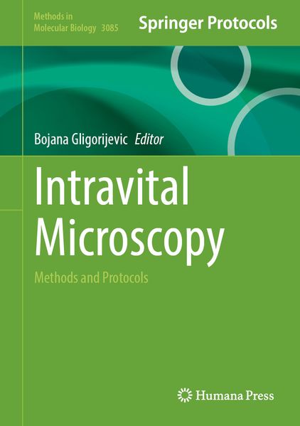 Intravital Microscopy