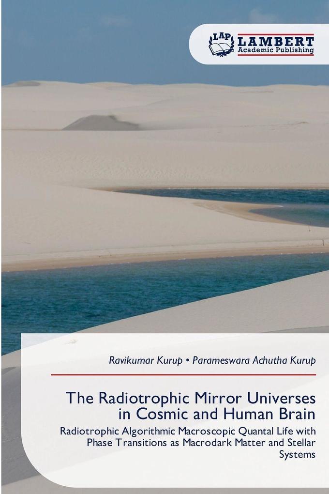 The Radiotrophic Mirror Universes in Cosmic and Human Brain