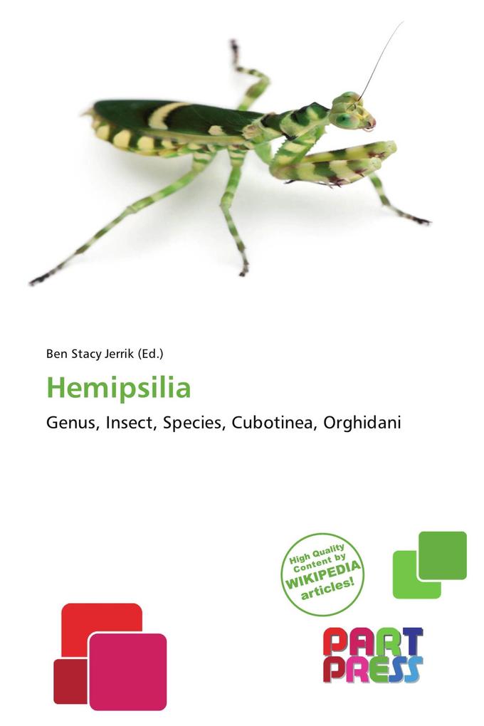 Hemipsilia