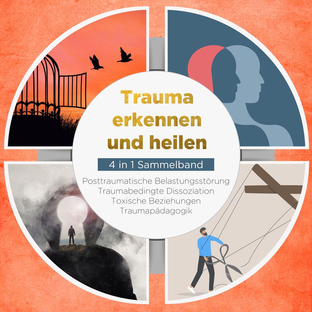 Trauma erkennen und heilen - 4 in 1 Sammelband: Posttraumatische Belastungsstörung | Traumabedingte Dissoziation | Toxische Beziehungen | Traumapädagogik