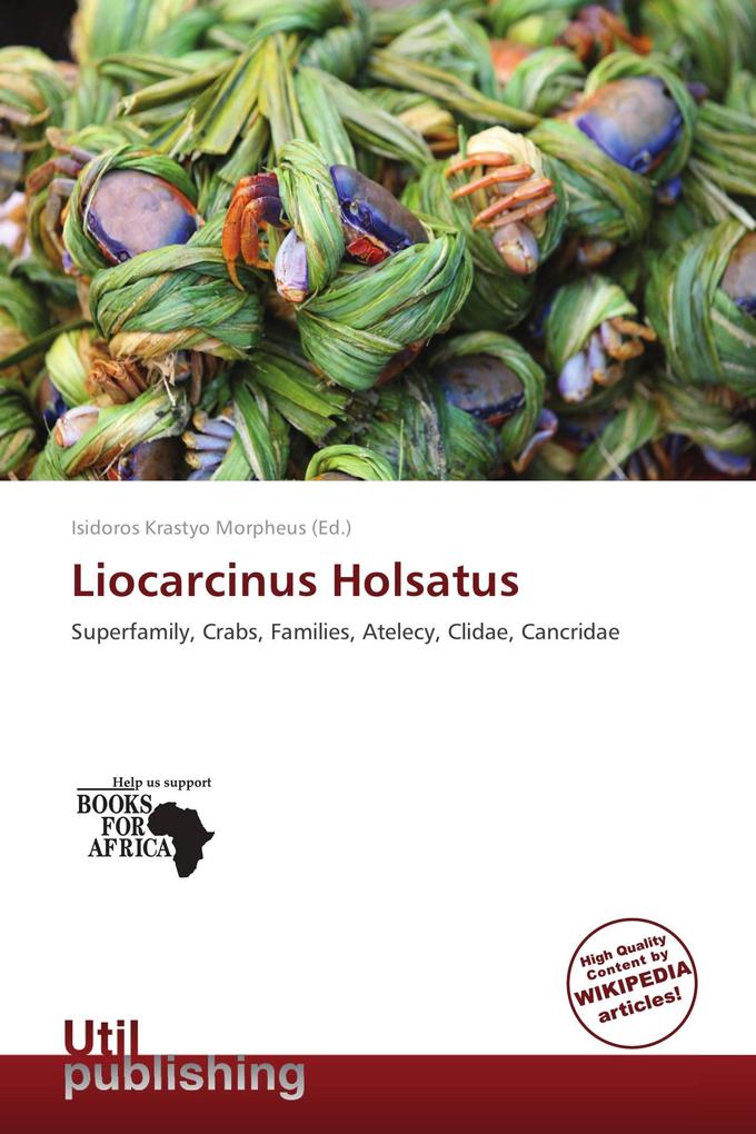 Liocarcinus Holsatus