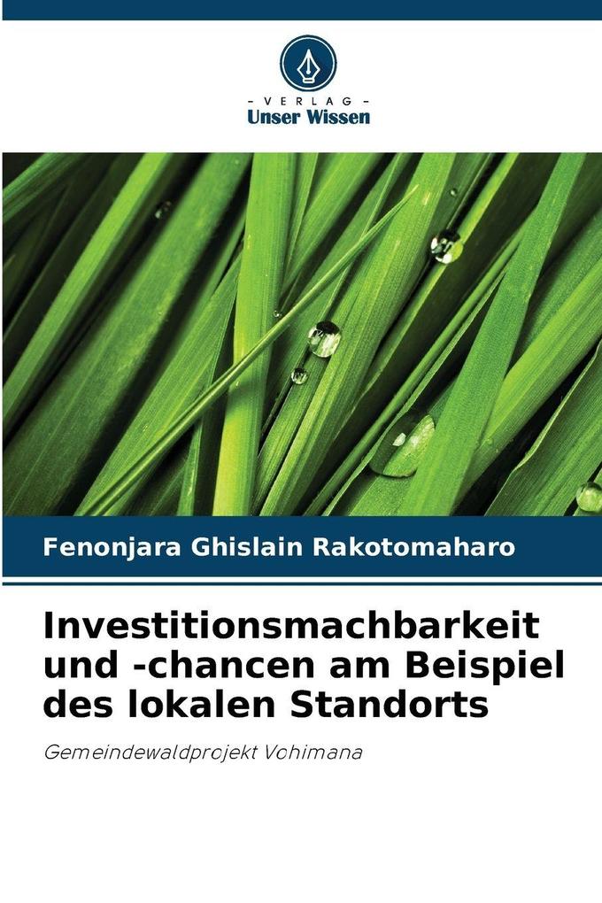Investitionsmachbarkeit und -chancen am Beispiel des lokalen Standorts