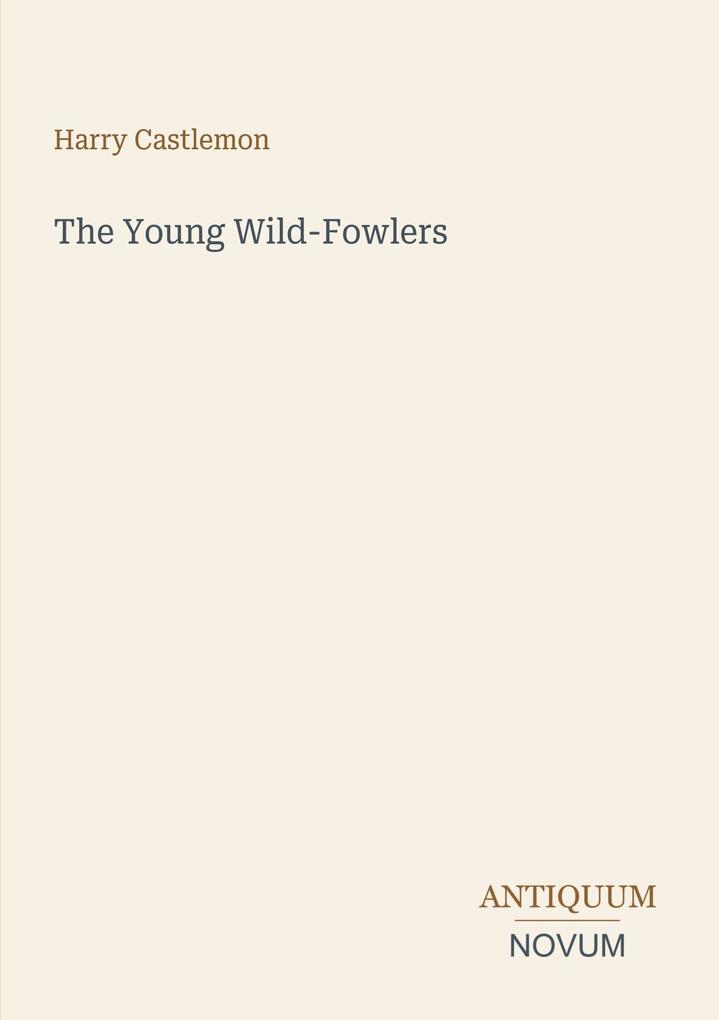 The Young Wild-Fowlers