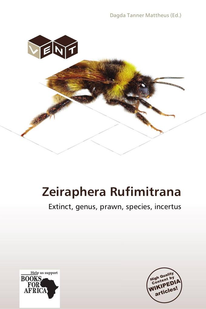 Zeiraphera Rufimitrana