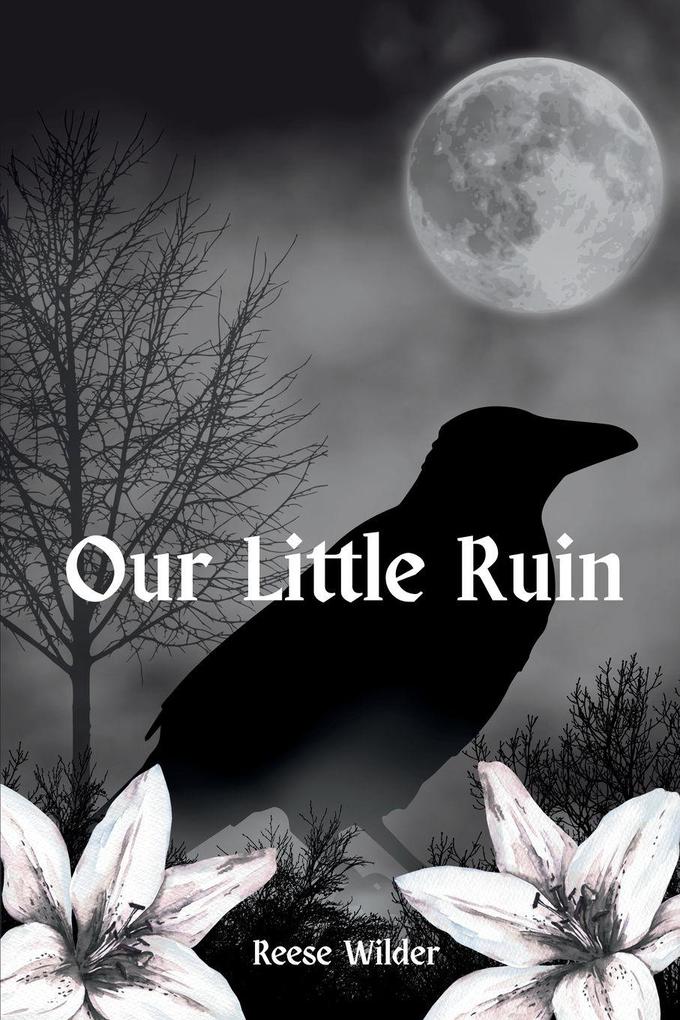 Our Little Ruin