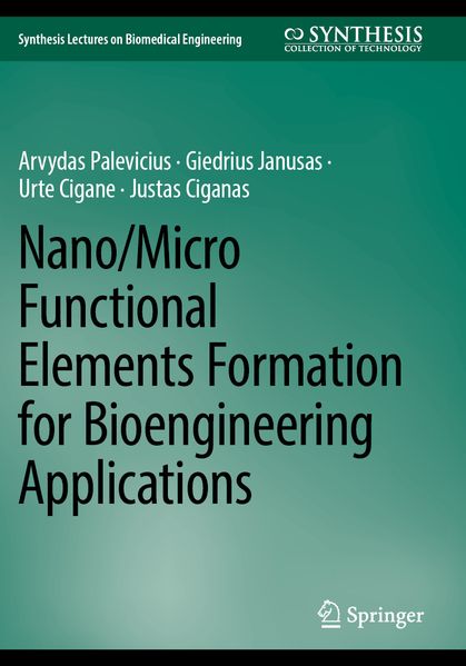 Nano/Micro Functional Elements Formation for Bioengineering Applications
