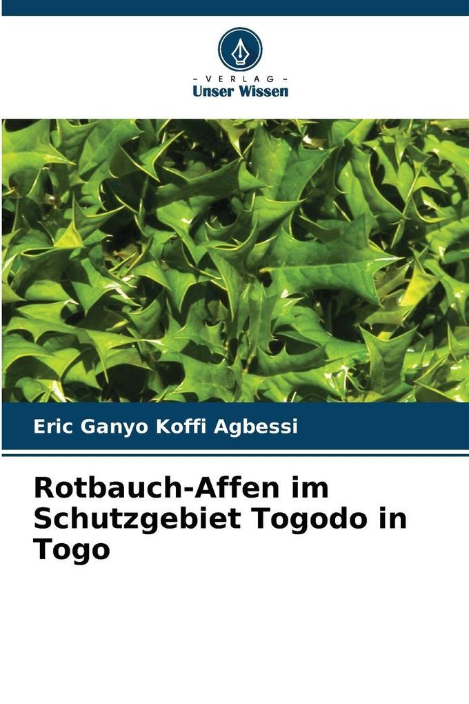 Rotbauch-Affen im Schutzgebiet Togodo in Togo