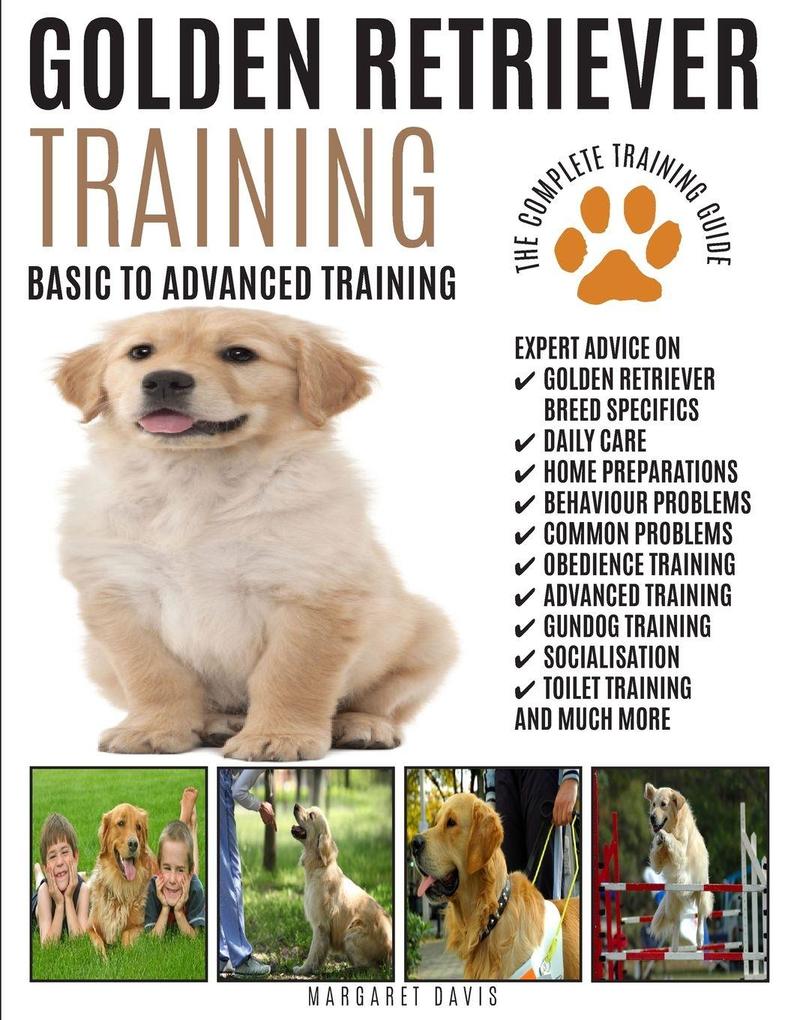 GOLDEN RETRIEVER TRAINING