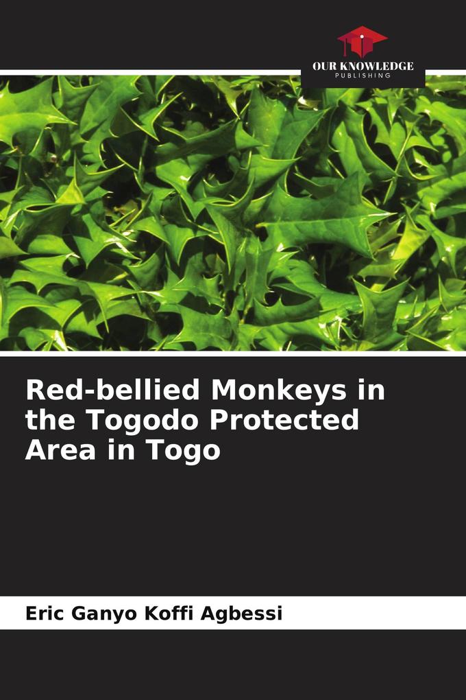Red-bellied Monkeys in the Togodo Protected Area in Togo