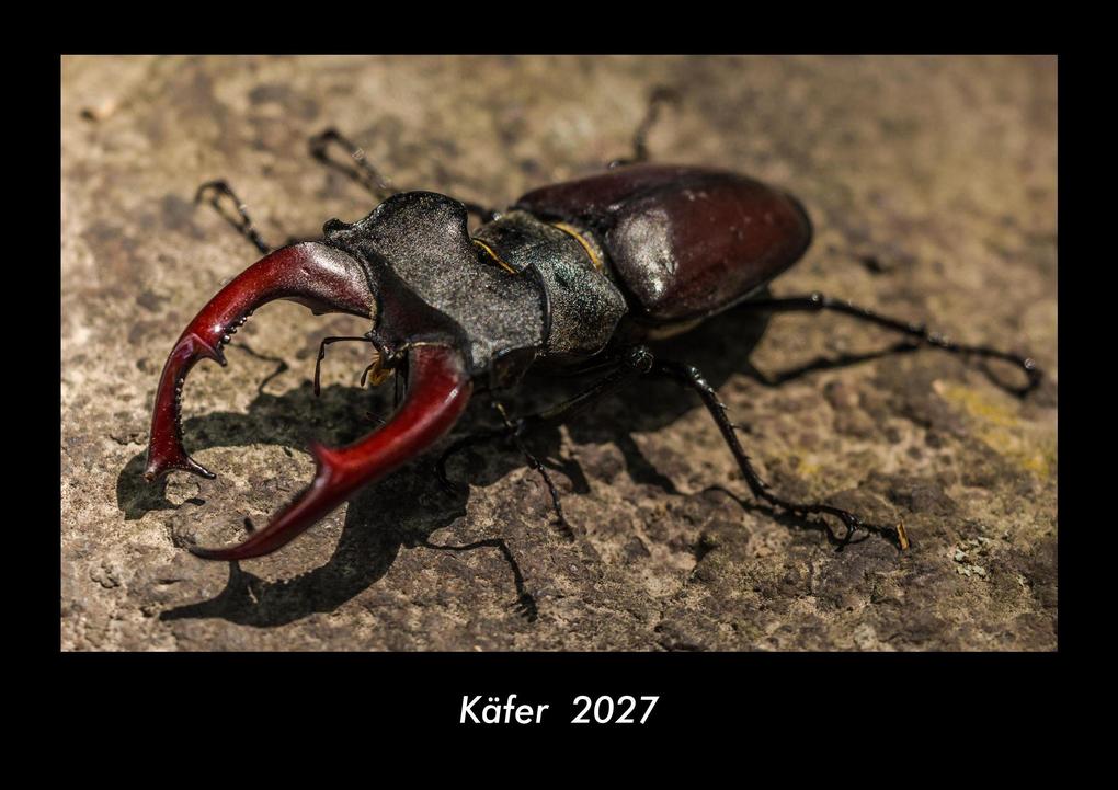Käfer 2027 Fotokalender DIN A3