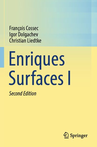 Enriques Surfaces I