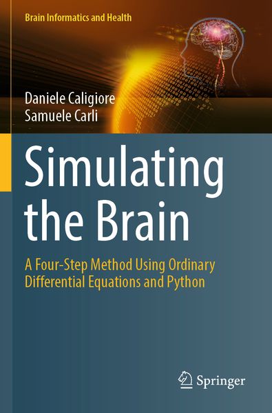 Simulating the Brain