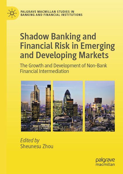 Shadow Banking and Financial Risk in Emerging and Developing Markets