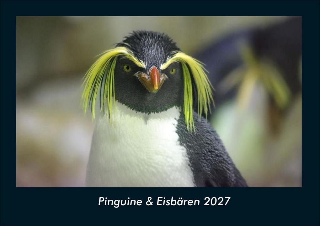 Pinguine & Eisbären 2027 Fotokalender DIN A4