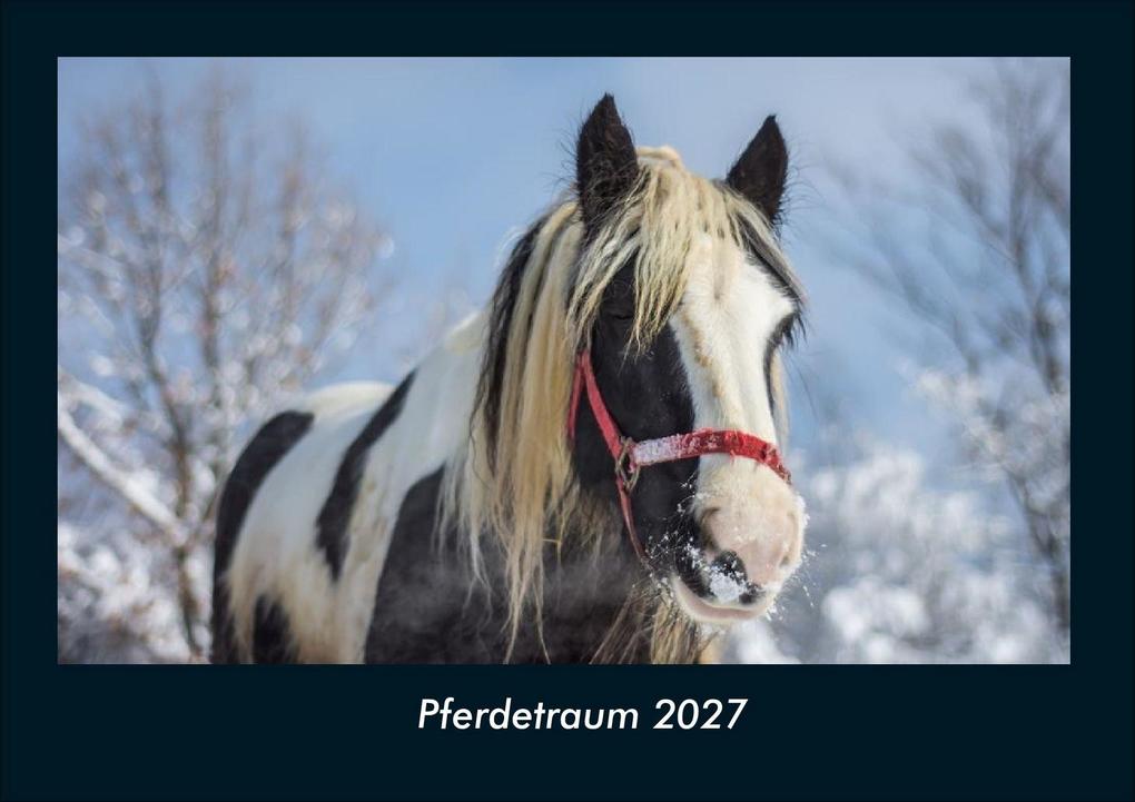 Pferdetraum 2027 Fotokalender DIN A4