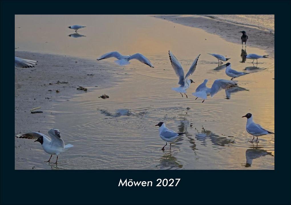 Möwen 2027 Fotokalender DIN A4