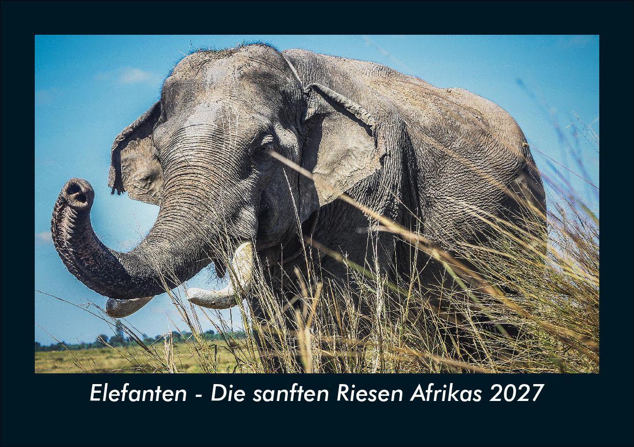 Elefanten - Die sanften Riesen Afrikas 2027 Fotokalender DIN A5