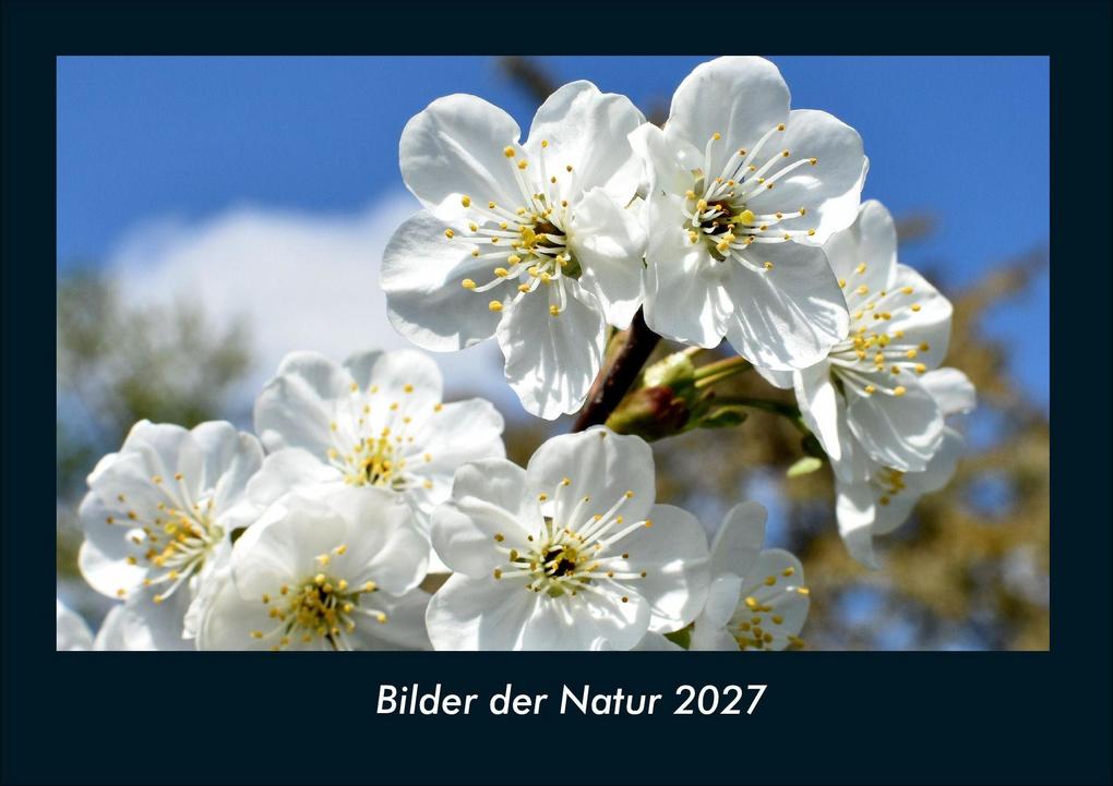 Bilder der Natur 2027 Fotokalender DIN A4