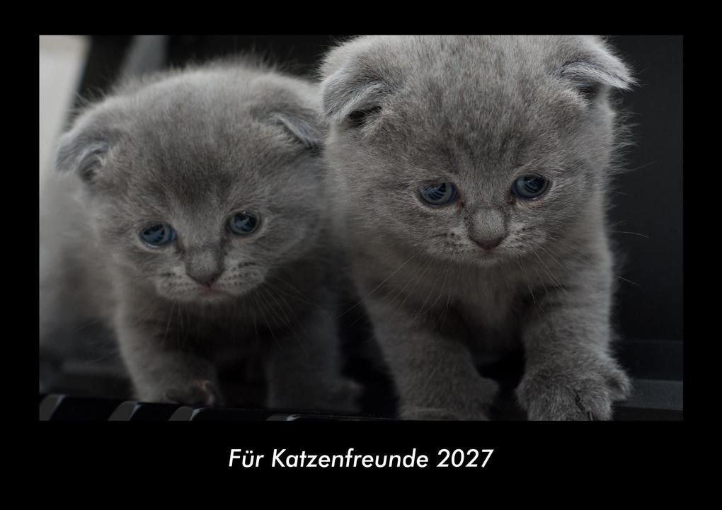 Für Katzenfreunde 2027 Fotokalender DIN A3