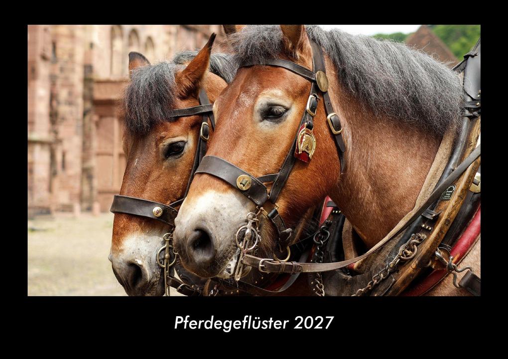 Pferdegeflüster 2027 Fotokalender DIN A3