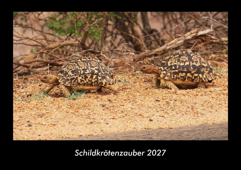 Schildkrötenzauber 2027 Fotokalender DIN A3