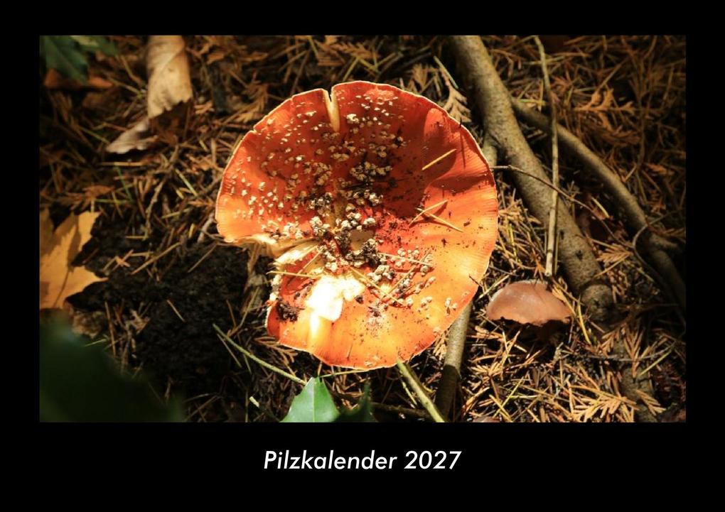 Pilzkalender 2027 Fotokalender DIN A3