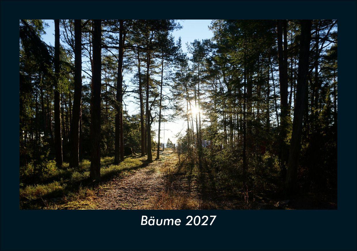 Bäume 2027 Fotokalender DIN A5