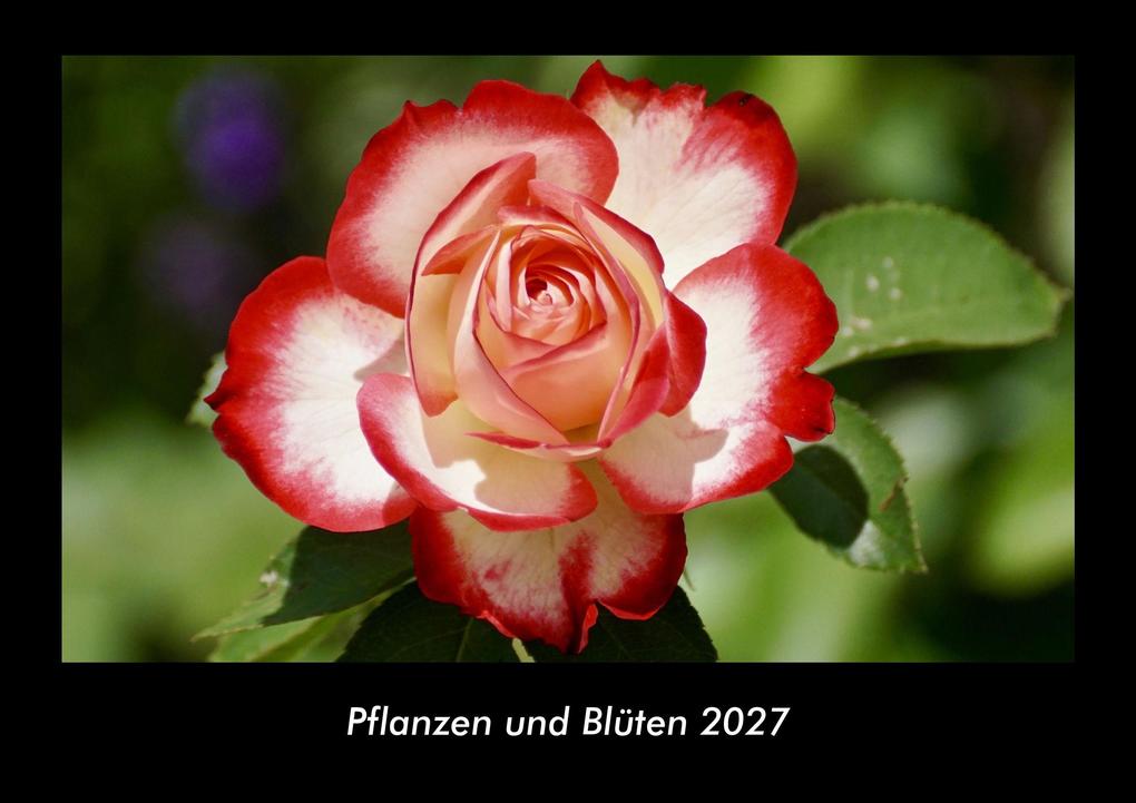 Pflanzen und Blüten 2027 Fotokalender DIN A3
