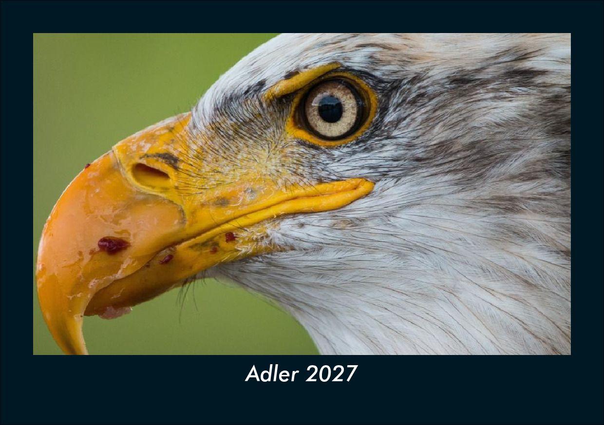 Adler 2027 Fotokalender DIN A5