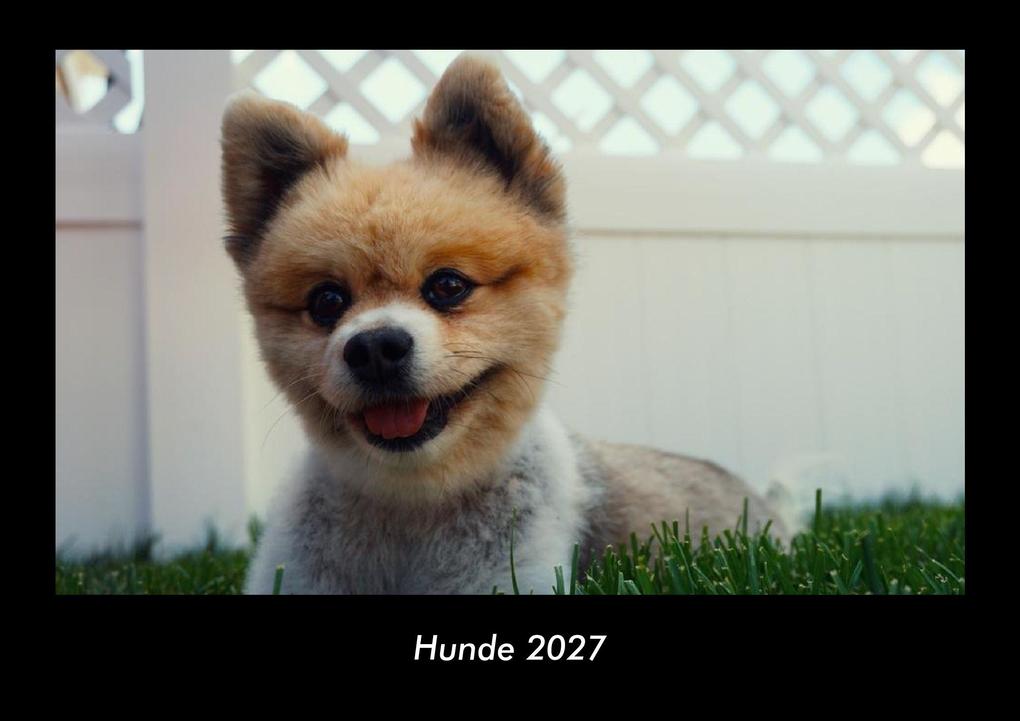 Hunde 2027 Fotokalender DIN A3