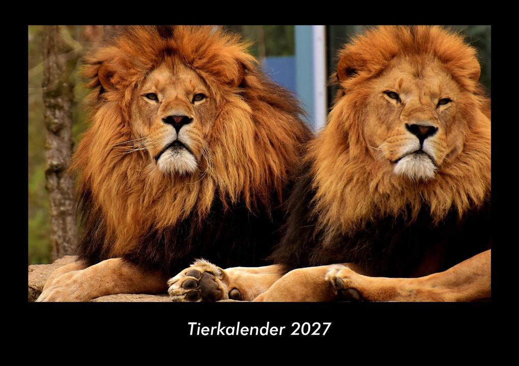Tierkalender 2027 Fotokalender DIN A3