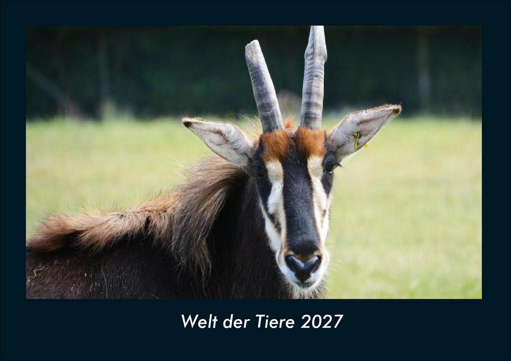 Welt der Tiere 2027 Fotokalender DIN A4