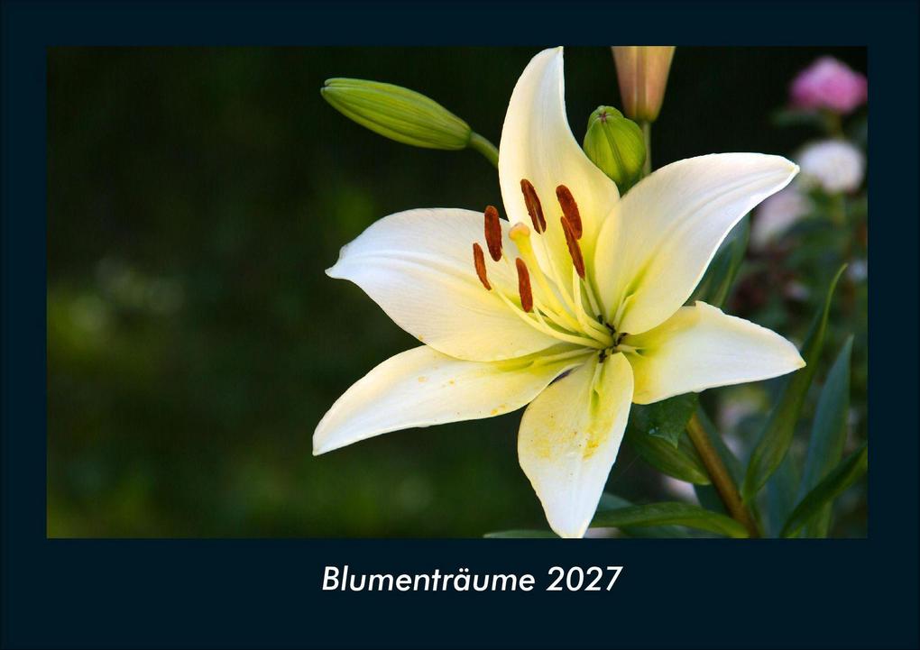 Blumenträume 2027 Fotokalender DIN A4