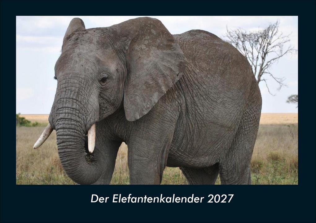 Der Elefantenkalender 2027 Fotokalender DIN A4
