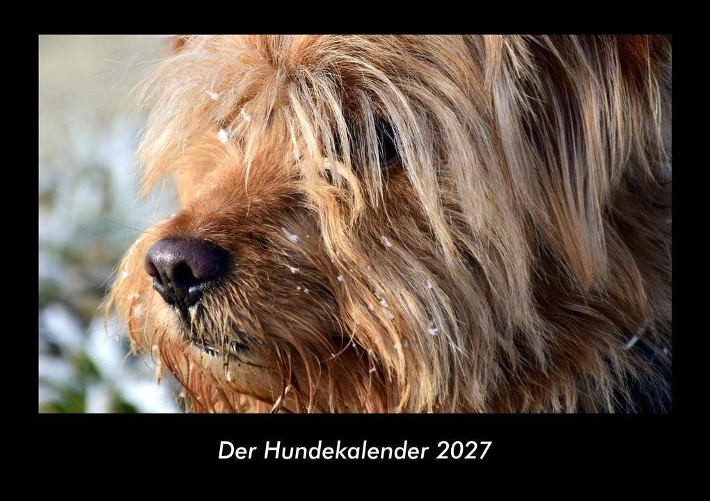 Der Hundekalender 2027 Fotokalender DIN A3