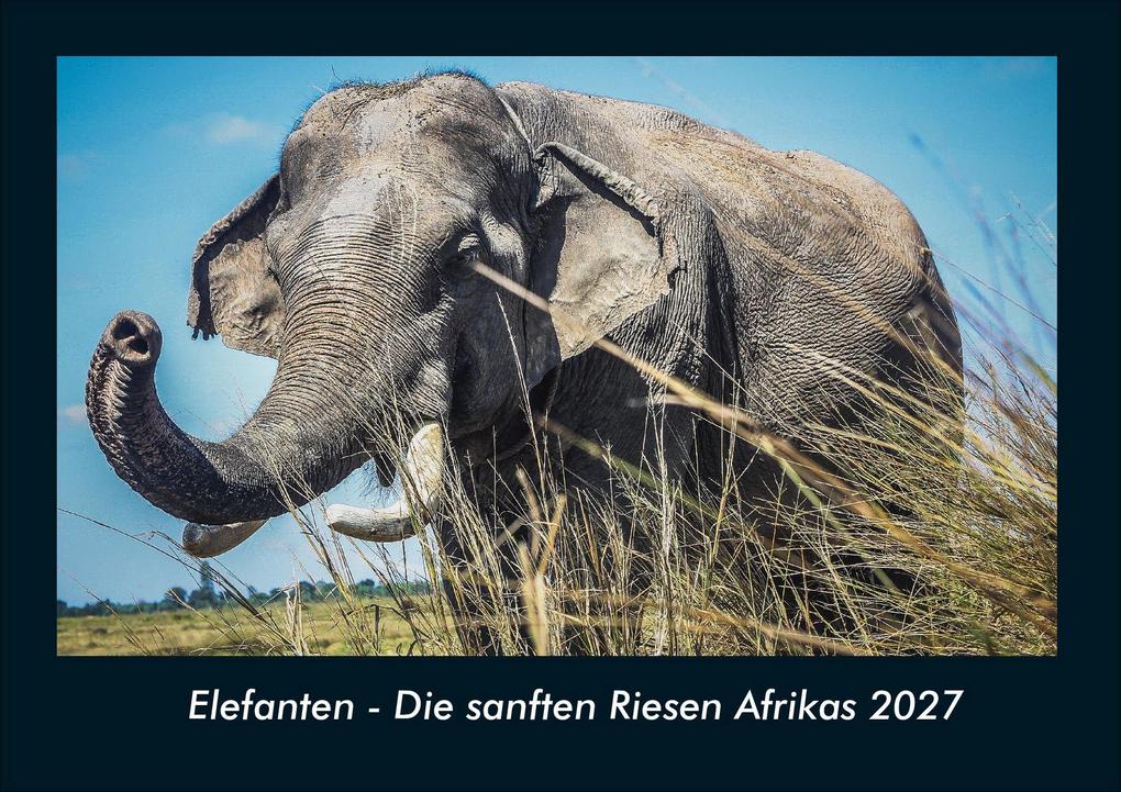 Elefanten - Die sanften Riesen Afrikas 2027 Fotokalender DIN A4