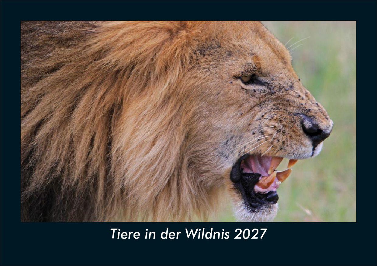 Tiere in der Wildnis 2027 Fotokalender DIN A5