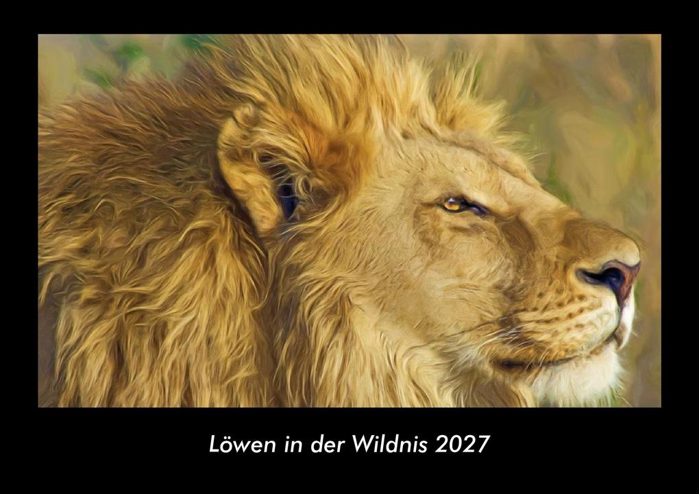 Löwen in der Wildnis 2027 Fotokalender DIN A3