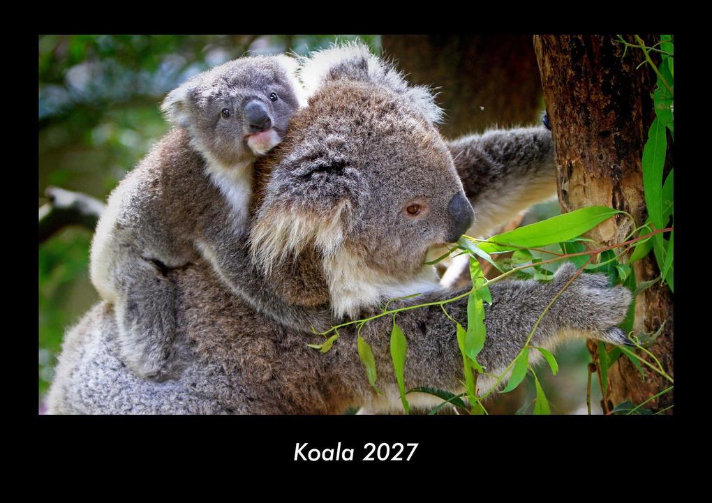 Koala 2027 Fotokalender DIN A3