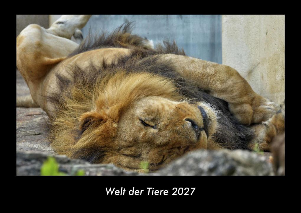 Welt der Tiere 2027 Fotokalender DIN A3