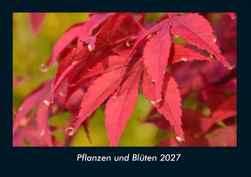 Pflanzen und Blüten 2027 Fotokalender DIN A4