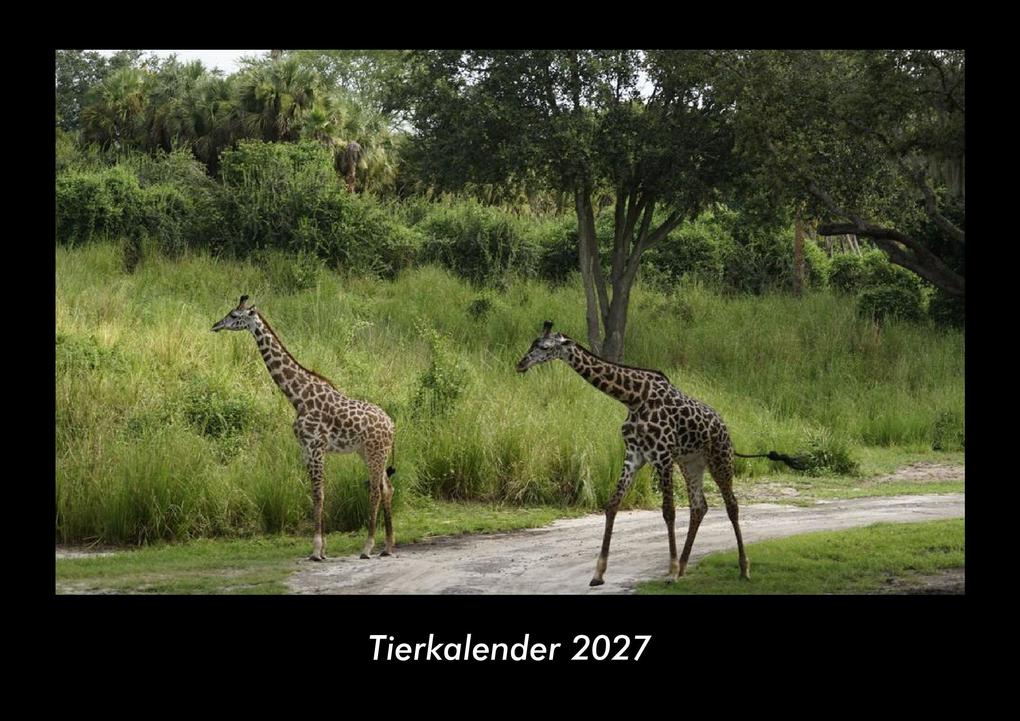 Tierkalender 2027 Fotokalender DIN A3