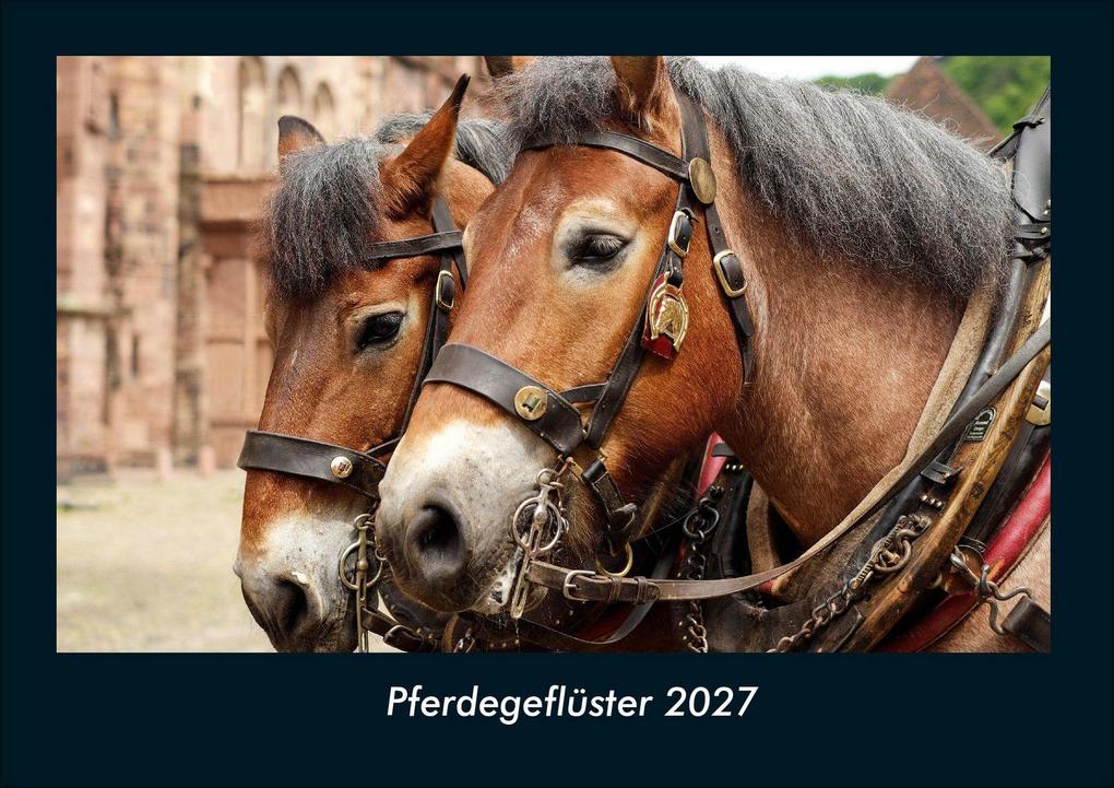 Pferdegeflüster 2027 Fotokalender DIN A4