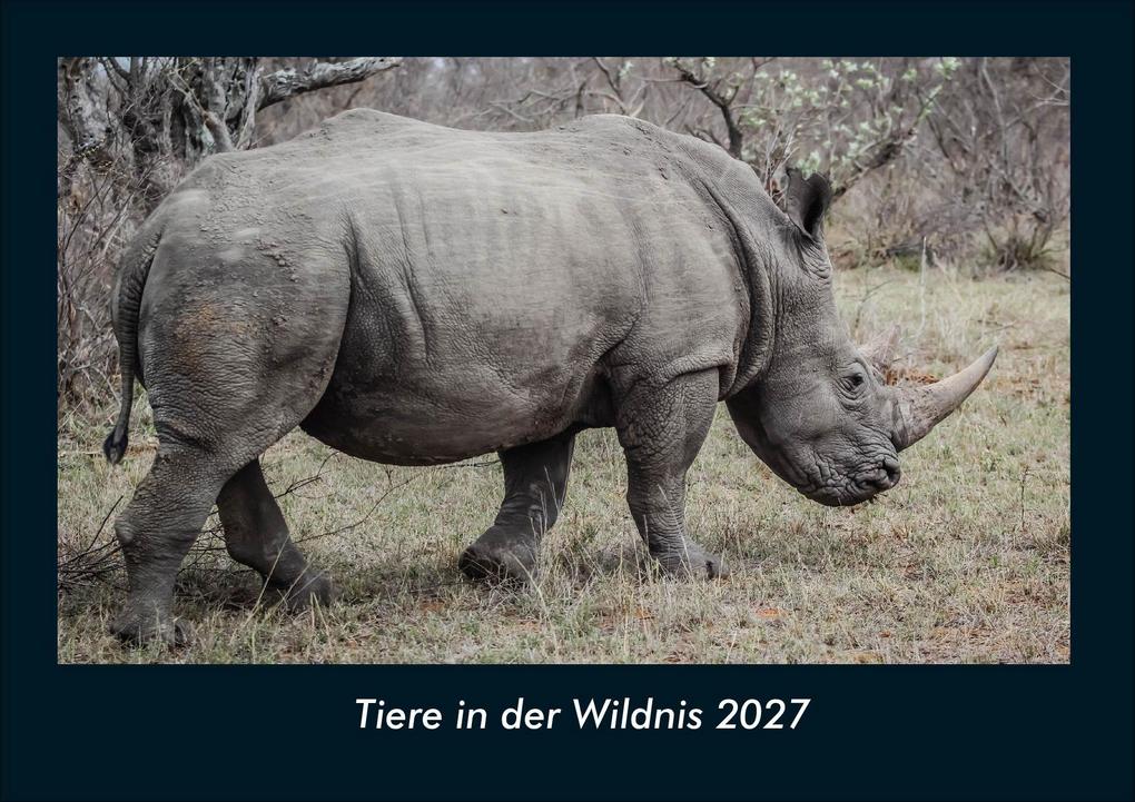 Tiere in der Wildnis 2027 Fotokalender DIN A4
