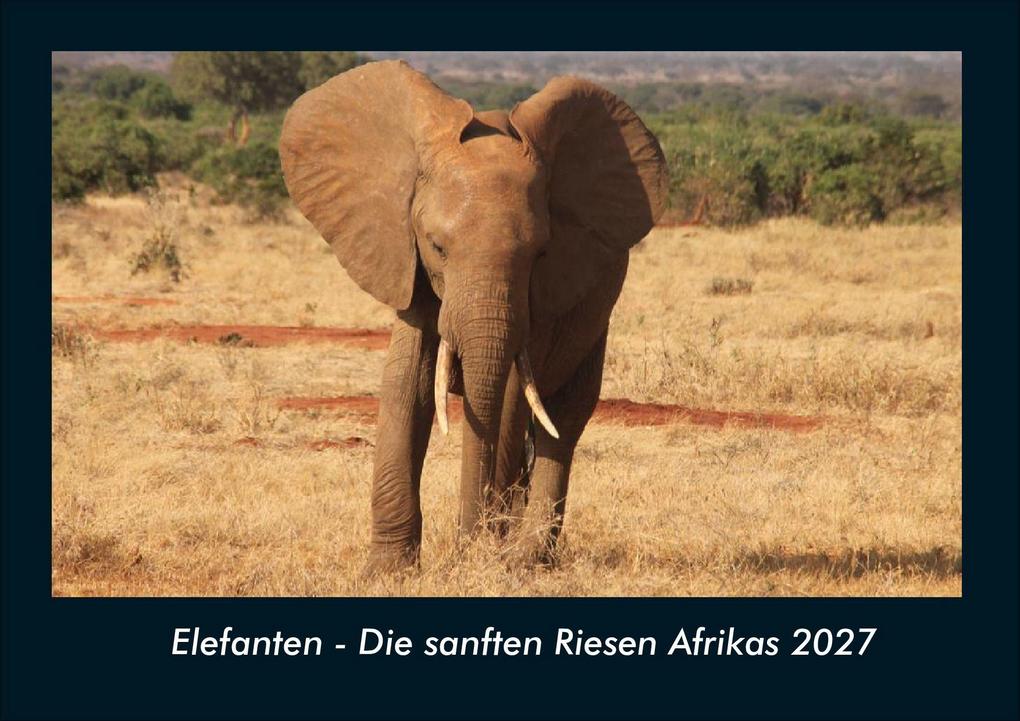 Elefanten - Die sanften Riesen Afrikas 2027 Fotokalender DIN A4