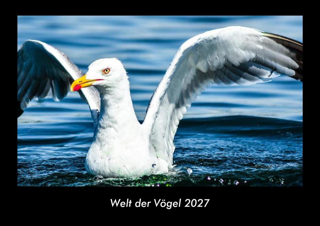 Welt der Vögel 2027 Fotokalender DIN A3