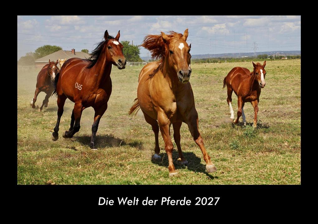 Die Welt der Pferde 2027 Fotokalender DIN A3